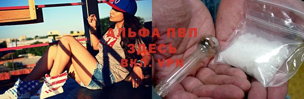 шишки Мегион