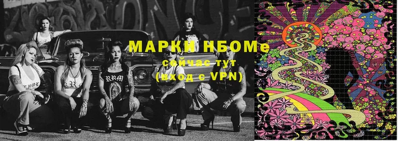 Марки NBOMe 1,8мг  магазин продажи   Камышлов 