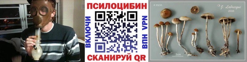 Псилоцибиновые грибы мицелий Камышлов